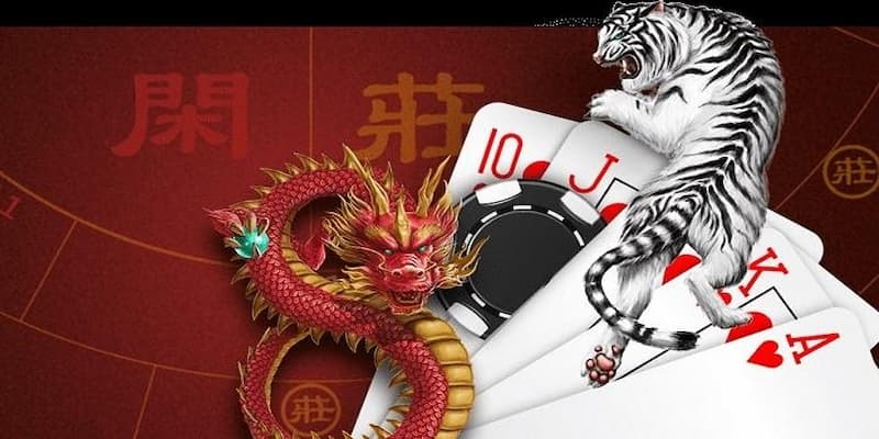 Bongvip - Sân chơi game rồng hổ nhận được tỷ lệ thắng cao