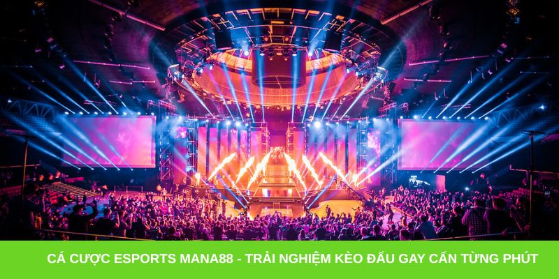 Cá cược esports Mana88 - Trải nghiệm kèo đấu gay cấn từng phút